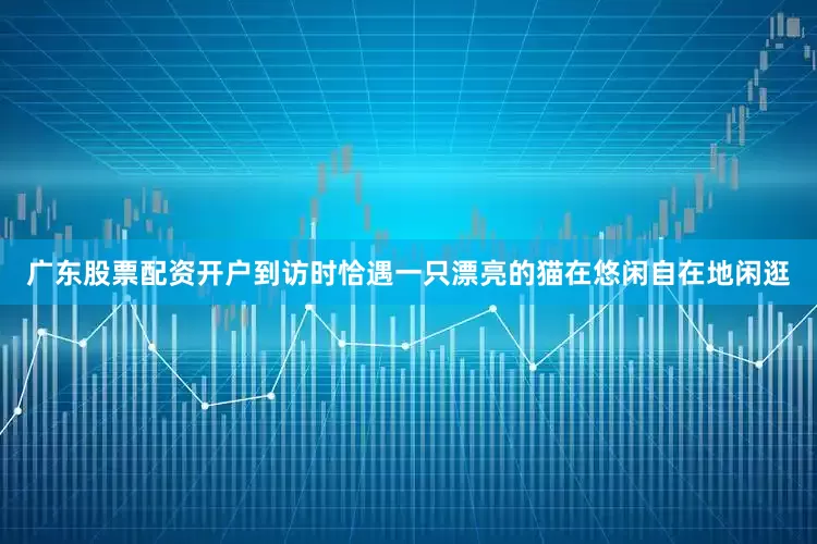 广东股票配资开户到访时恰遇一只漂亮的猫在悠闲自在地闲逛